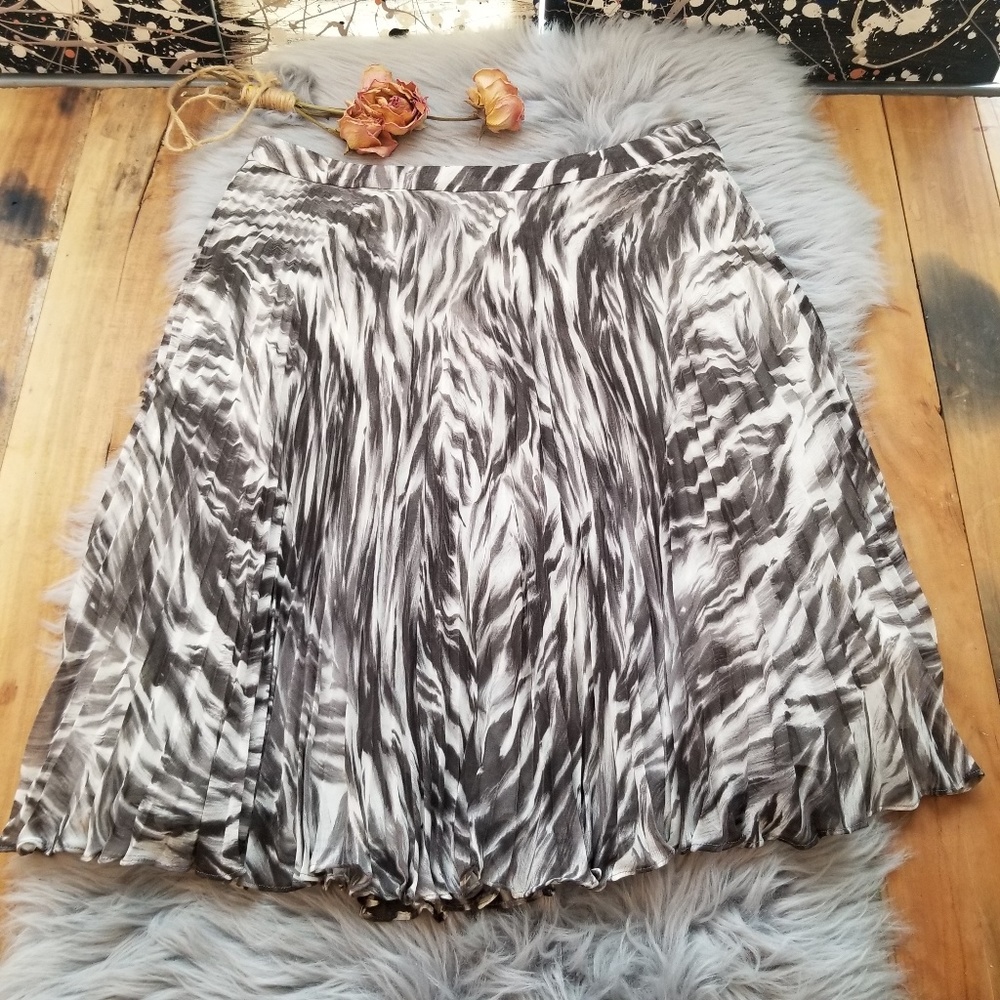 Pleated Skirt NWT 10p